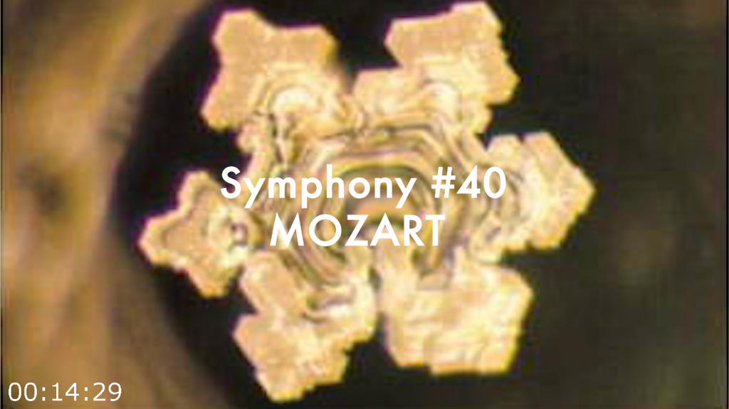 wm4zwyyq7c76.png