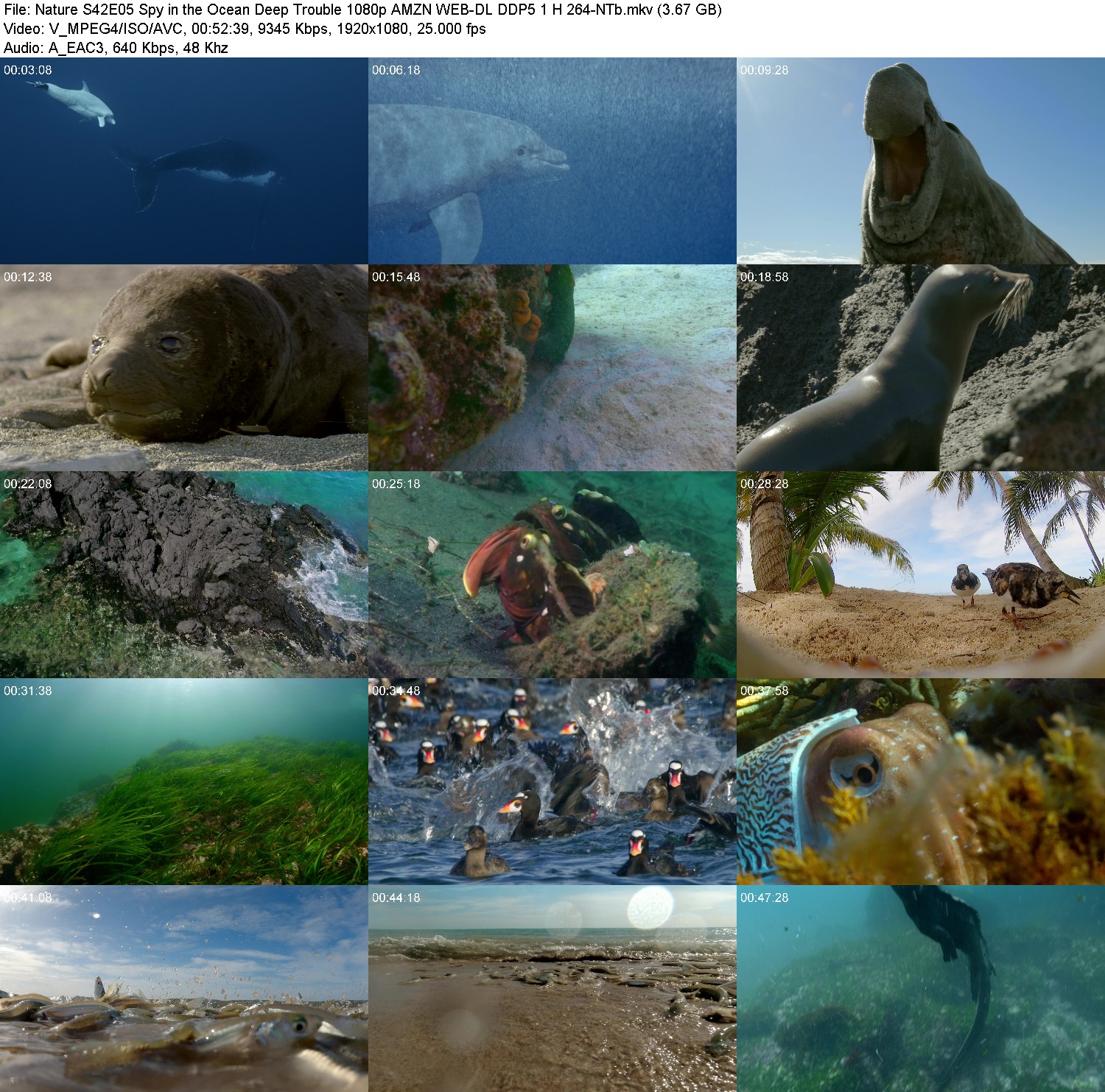 [Image: o6971tiijhhz.jpg]