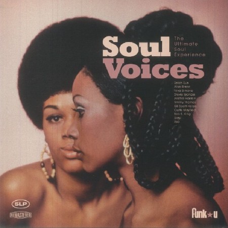 VA - Soul Voices (2024)