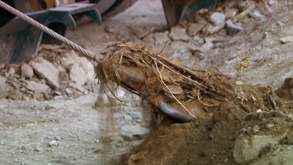 [Image: v3oa1xoqq7f5.png]