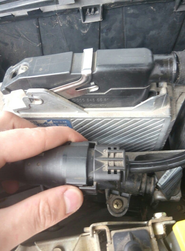 photo80330429_426606501