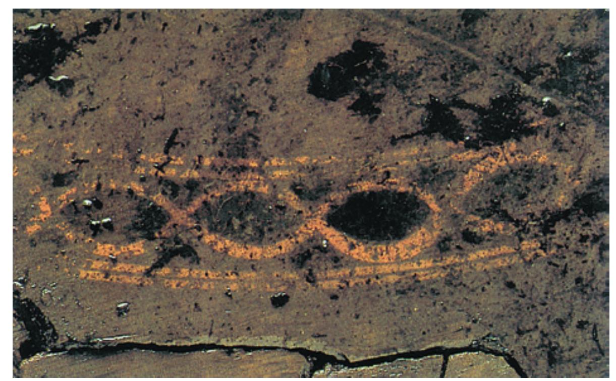 figure 006
