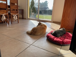 [Image: IMG-20240228-204811.jpg]