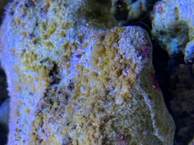 5F50157B-F43D-408C-BB40-6B0912BB9E92