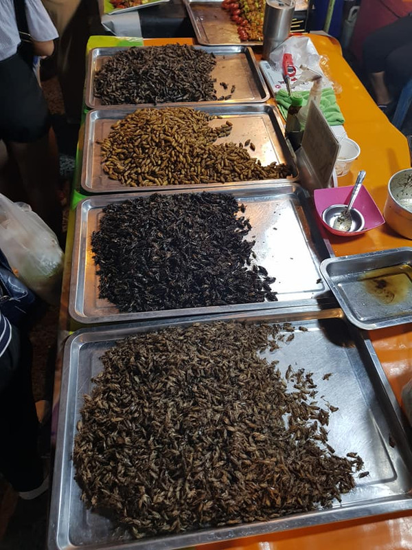 50675828_2208772249392106_8373501315824746496_n