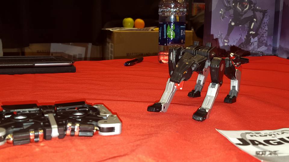 MMC-Ravage-05