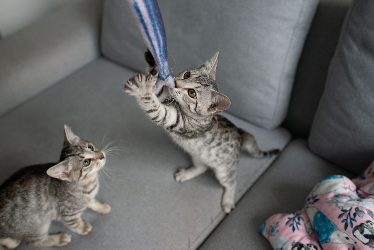 6323B914-DB34-4F62-B9B0-4276CE1125F4