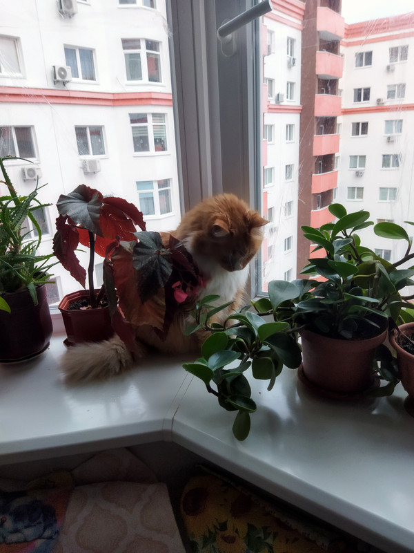 IMG-20220409-192127.jpg