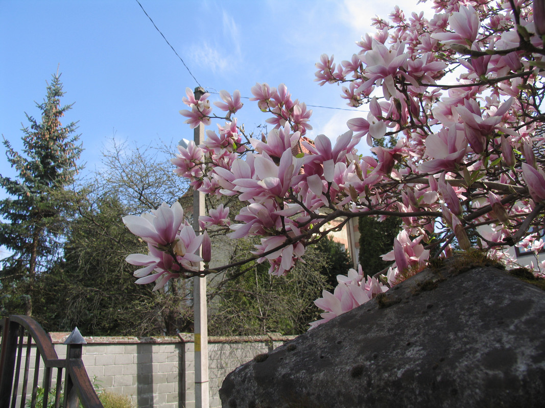 17 апреля 2025 007