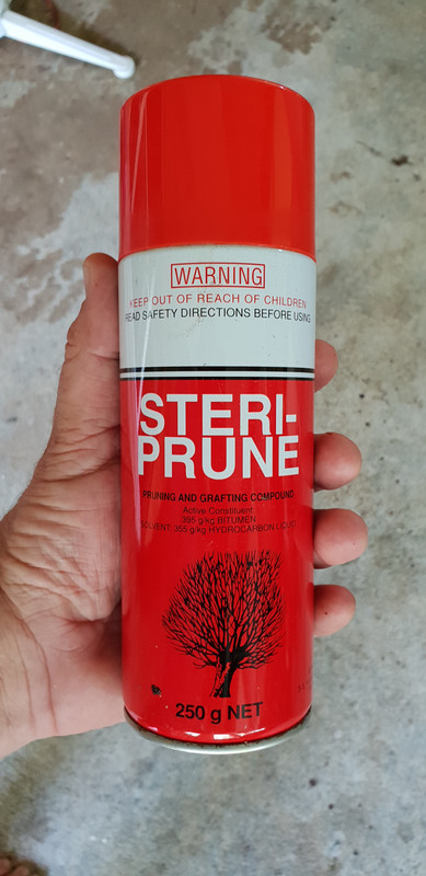 aaaasteriprune