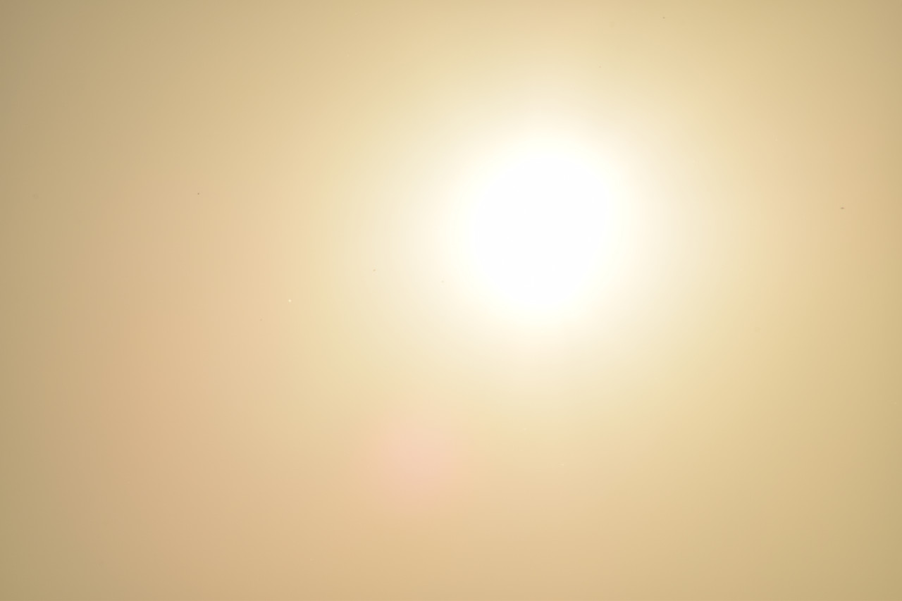 https://i.postimg.cc/vT1D19gv/DSC-0038.jpg