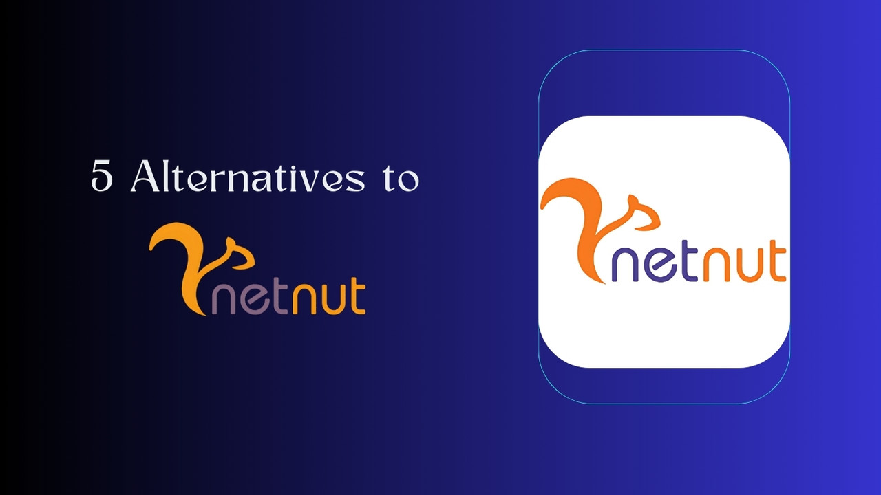 Top 5 Alternatives to NetNut for Proxy Services