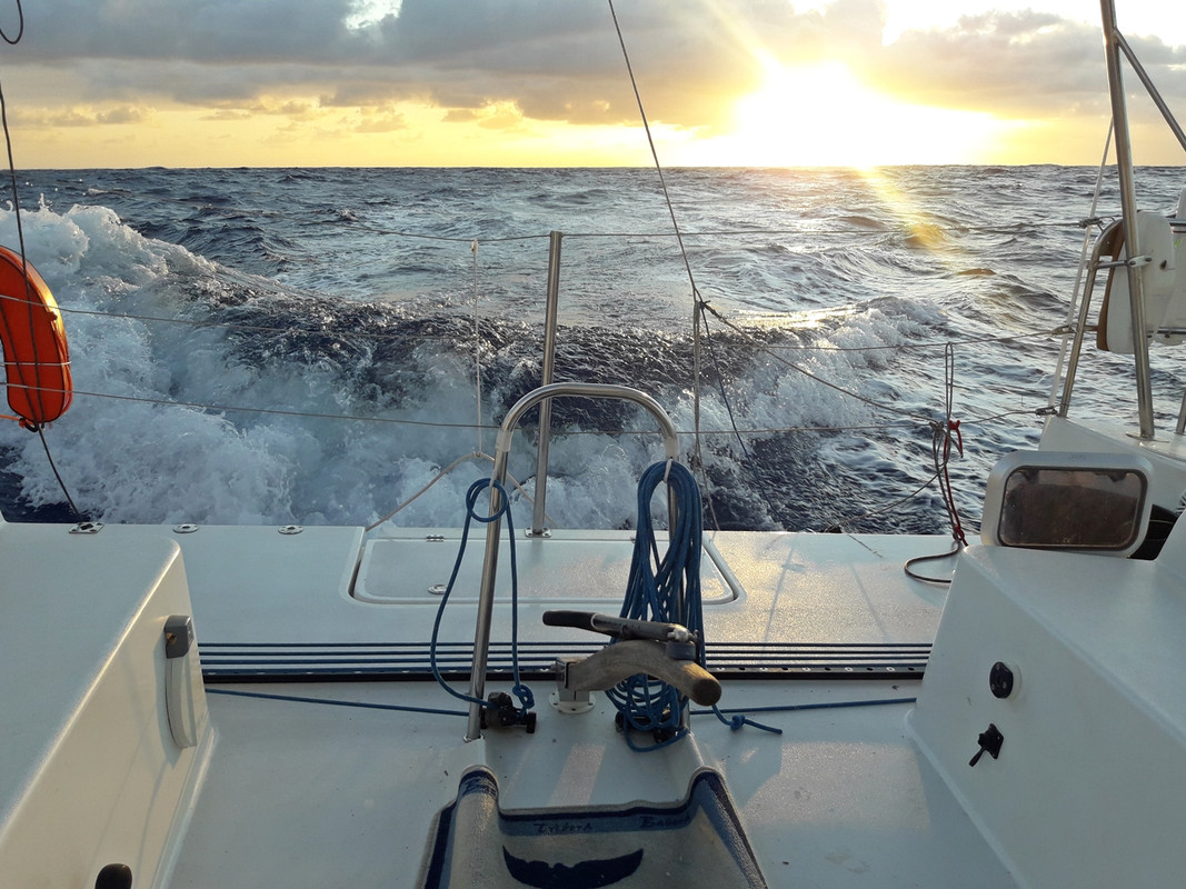 [Imagen: 20200215-121402.jpg]