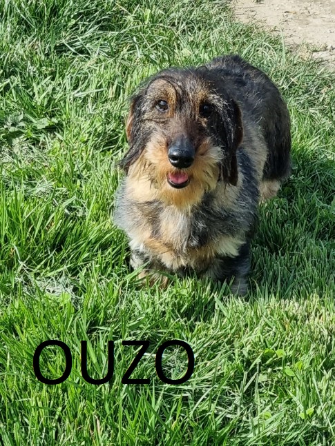 [Image: image000001011-1.jpg]