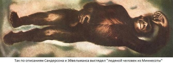 «Ледяной человек из Миннесоты» - интересные и загадочные факты «Ледяной человек из Миннесоты» - интересные и загадочные факты