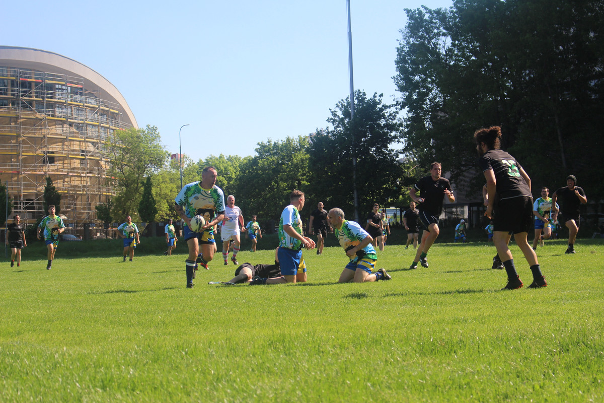 IMG-0460