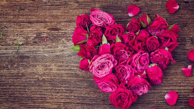 2969523_sag-s-durch-die-blume_artikeldetail-16x9_1BLgtP_3Tst7i