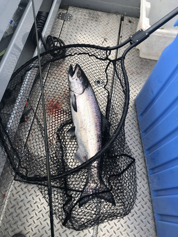 4A667533-8231-40B3-95E4-F26C63EEE50B