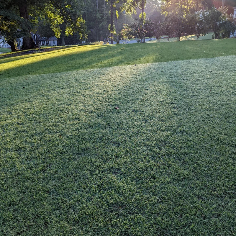 297659471_915347089858176_3264829045001717955_n