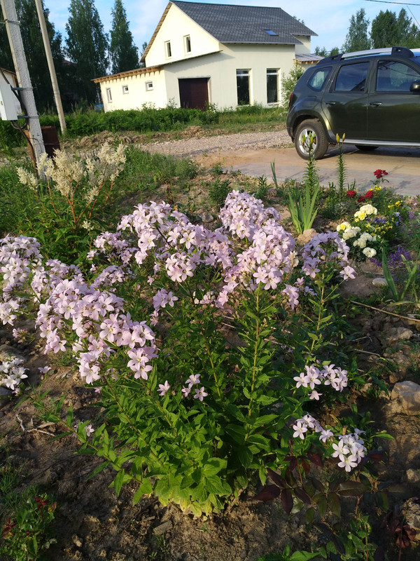 IMG_20190621_064535