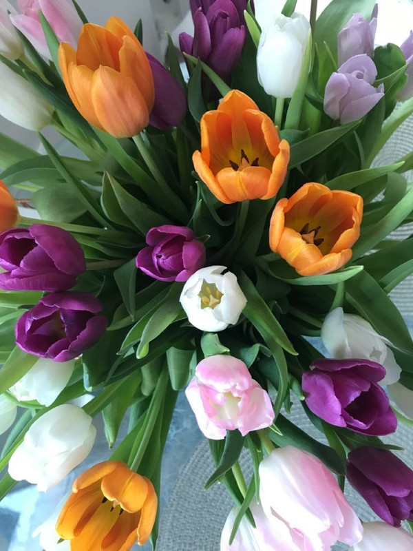 650271271-2798866467120803-4795851730910199186-n