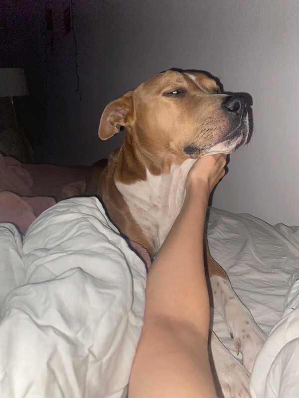 AA3A85E1-98E0-4FDB-99CC-9782DCC074AA