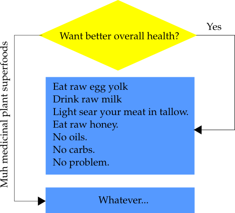 health-flowchart.png