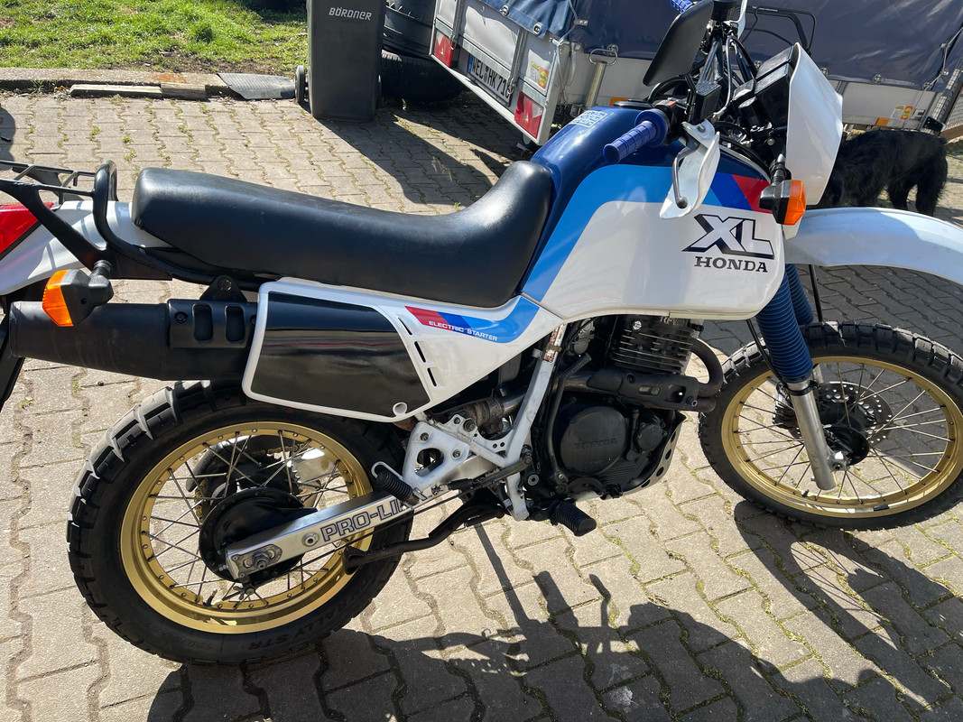 130F8B35-95DA-4FDD-8F80-31CF72211F02