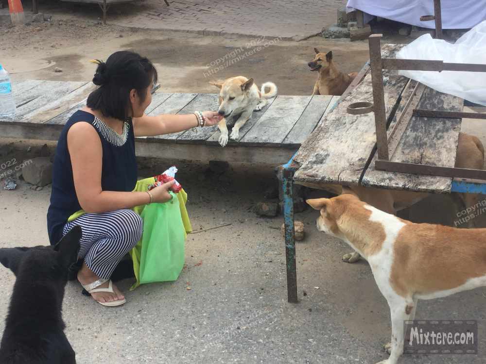 BBG&B13ByeBodhGaya - 11