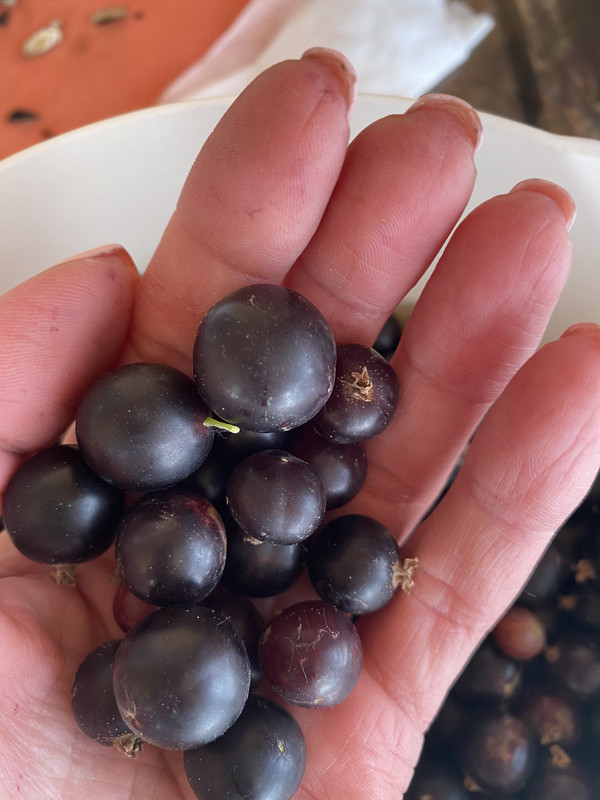 23EDF6C2-18D4-462C-9C77-F700C461E632