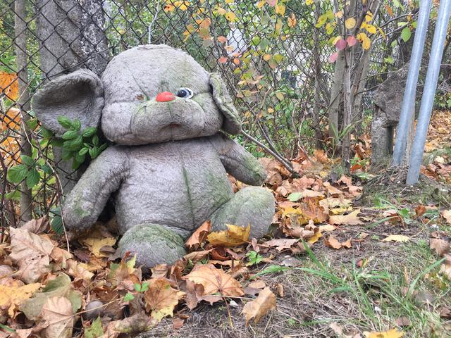 7255_F62_C-_FAF2-4911-_B09_C-41_CDD0_DE8