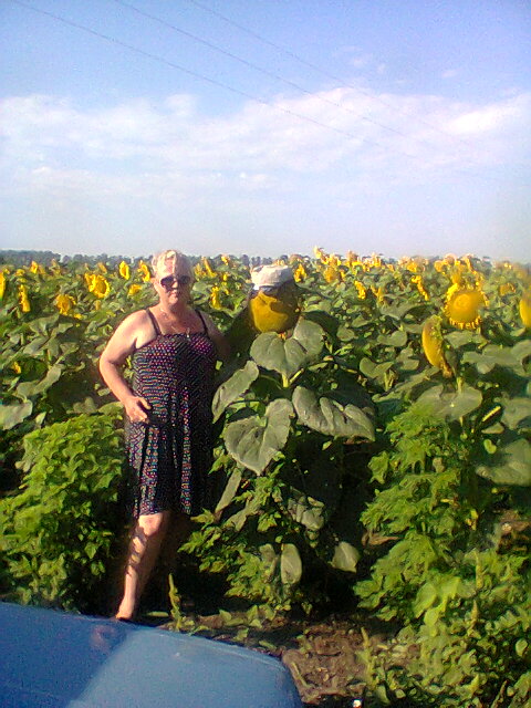 я в подсолнухах