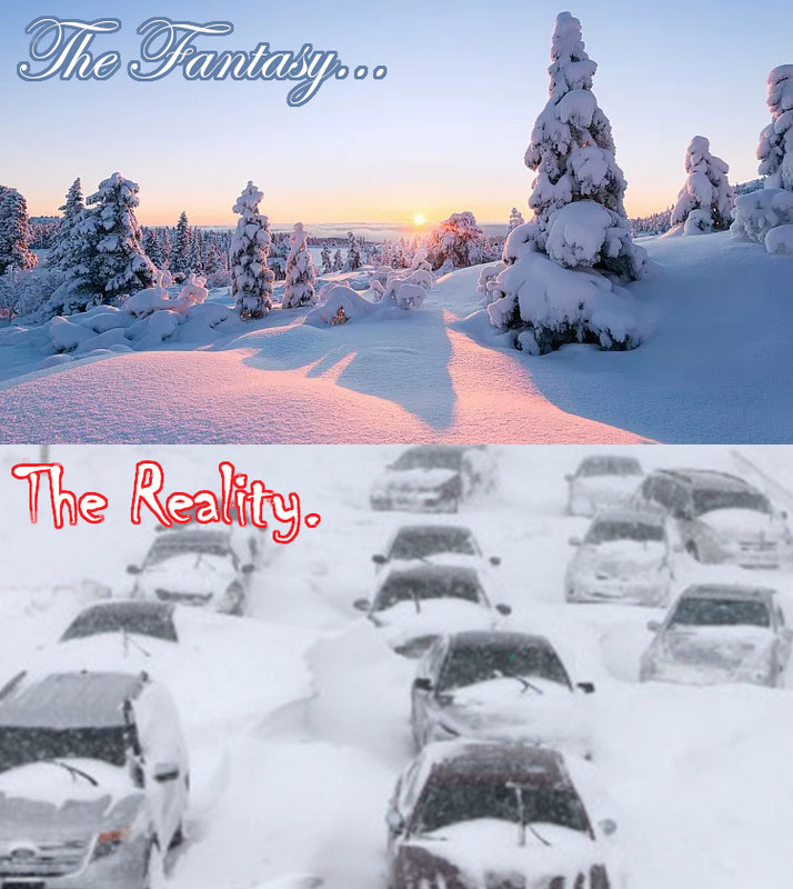 winter-fantasy-vs-reality.jpg