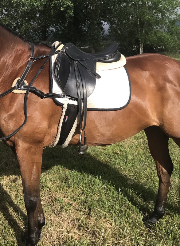 445A534F-4E8E-4CEF-805F-83D55826F85C