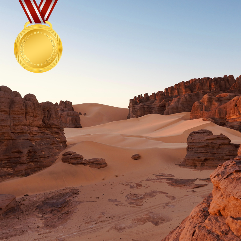 You landet in Tamanrasset!