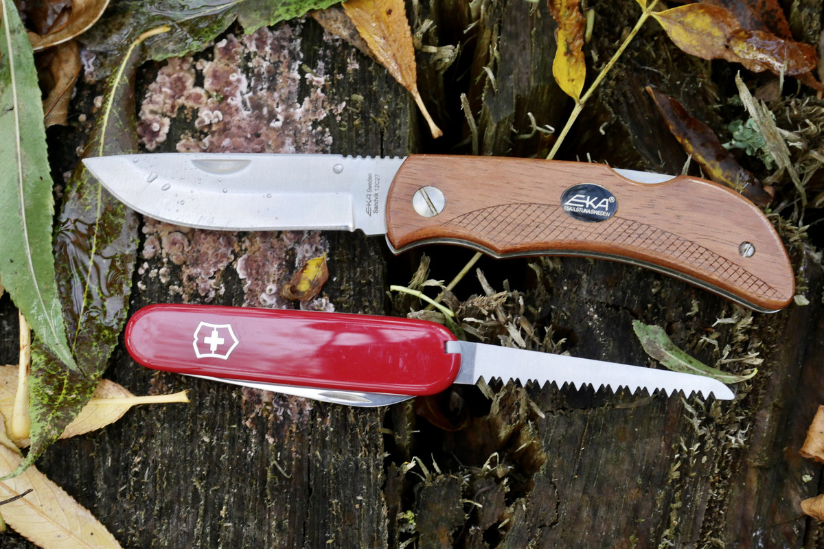 099D8915-2995-4F9A-9F6E-525BC2D565FF