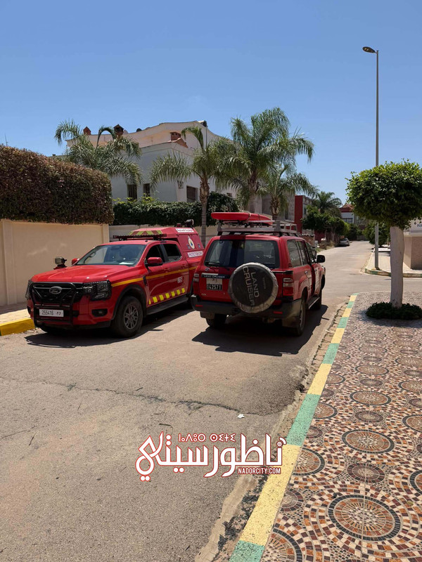 736141980-1314027867558027-1450759167307370203-n