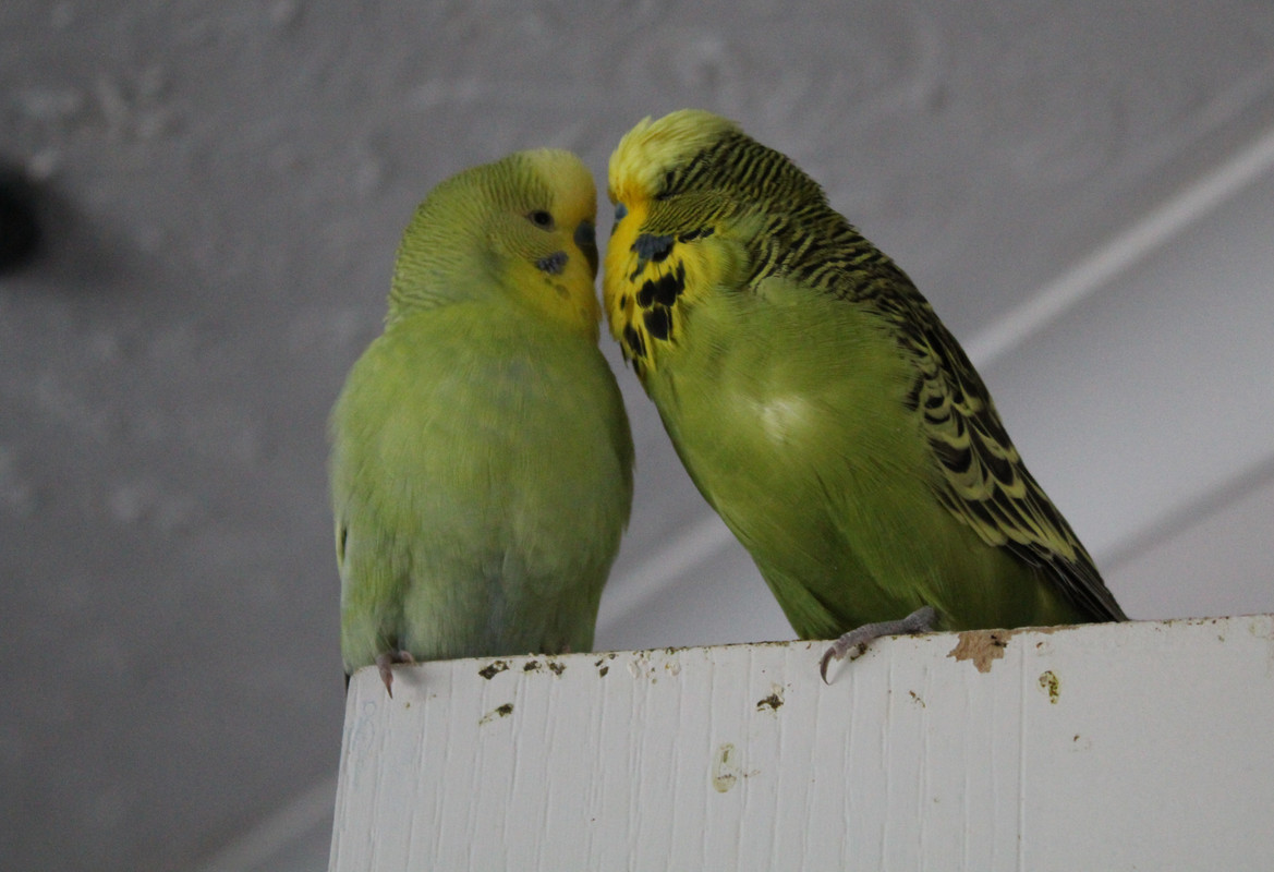 20231223143855 IMG 2283 — Postimages