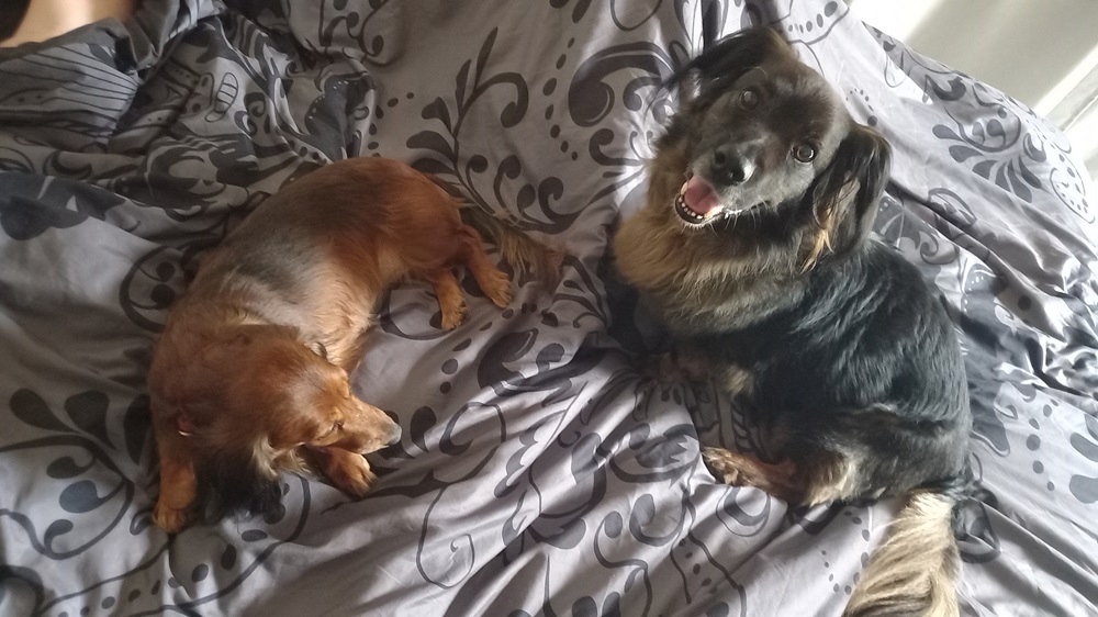 [Image: 20250221-153716.jpg]