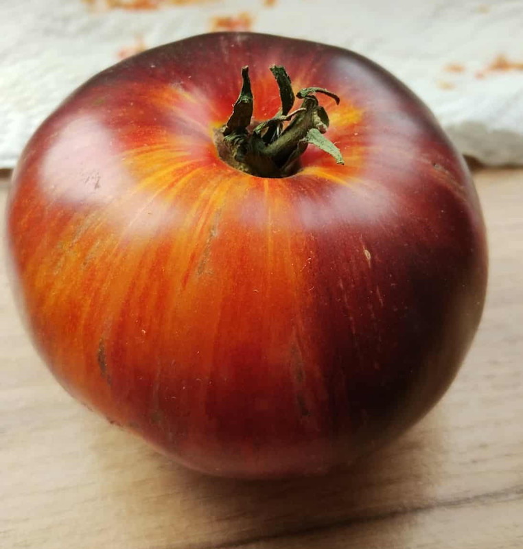 Messenger_creation_AD476EAE-C83A-4BA0-9280-740B75DC8B3C