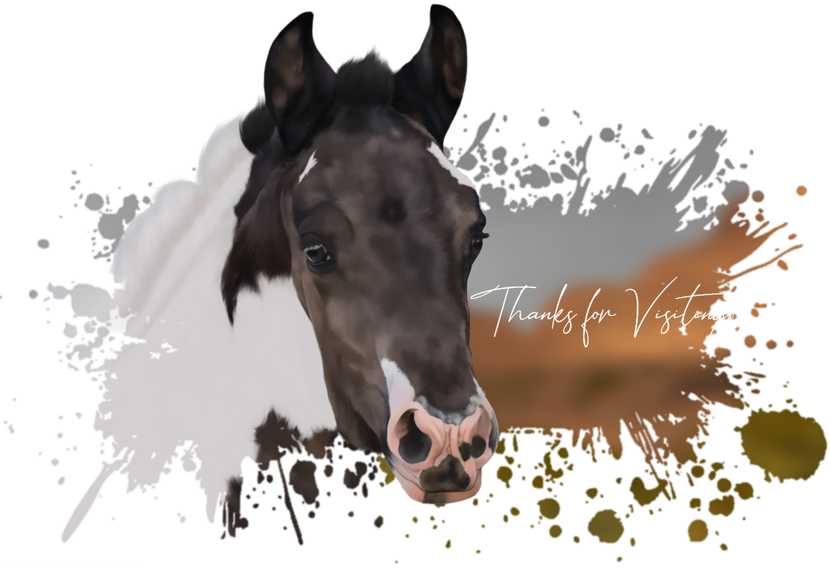 Untitled239_20250326032523