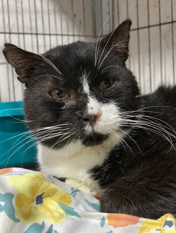 39E87B3B-51C5-4244-8521-039924205510