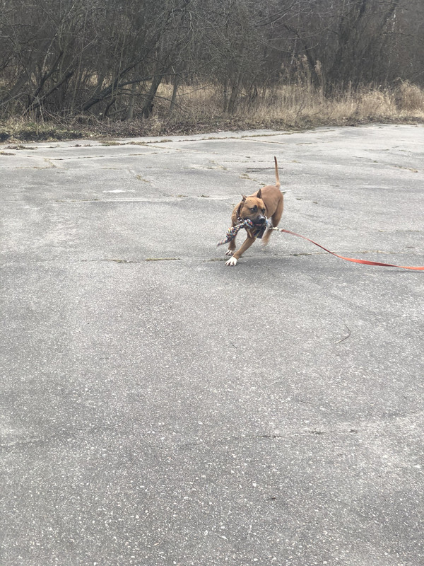 C16C5AD0-B5B6-492D-81D4-B0DEB82574C6