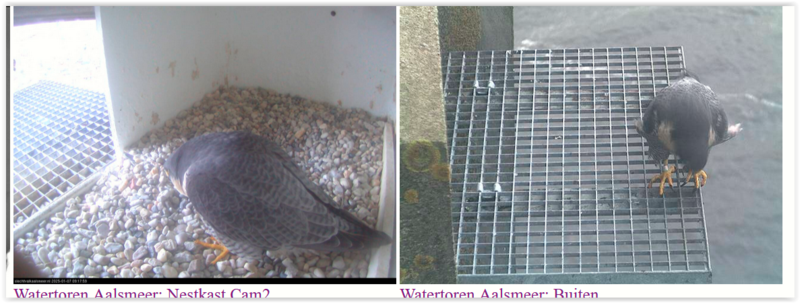 Screen Shot 01-07-25 at 09.18 AM