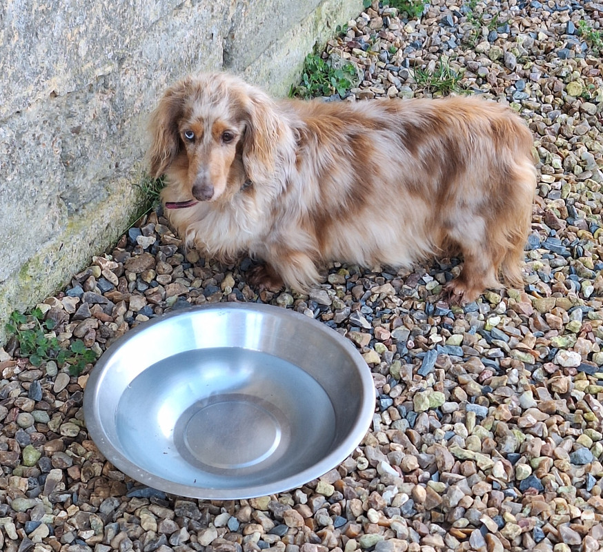 [Image: 20240324-181229.jpg]