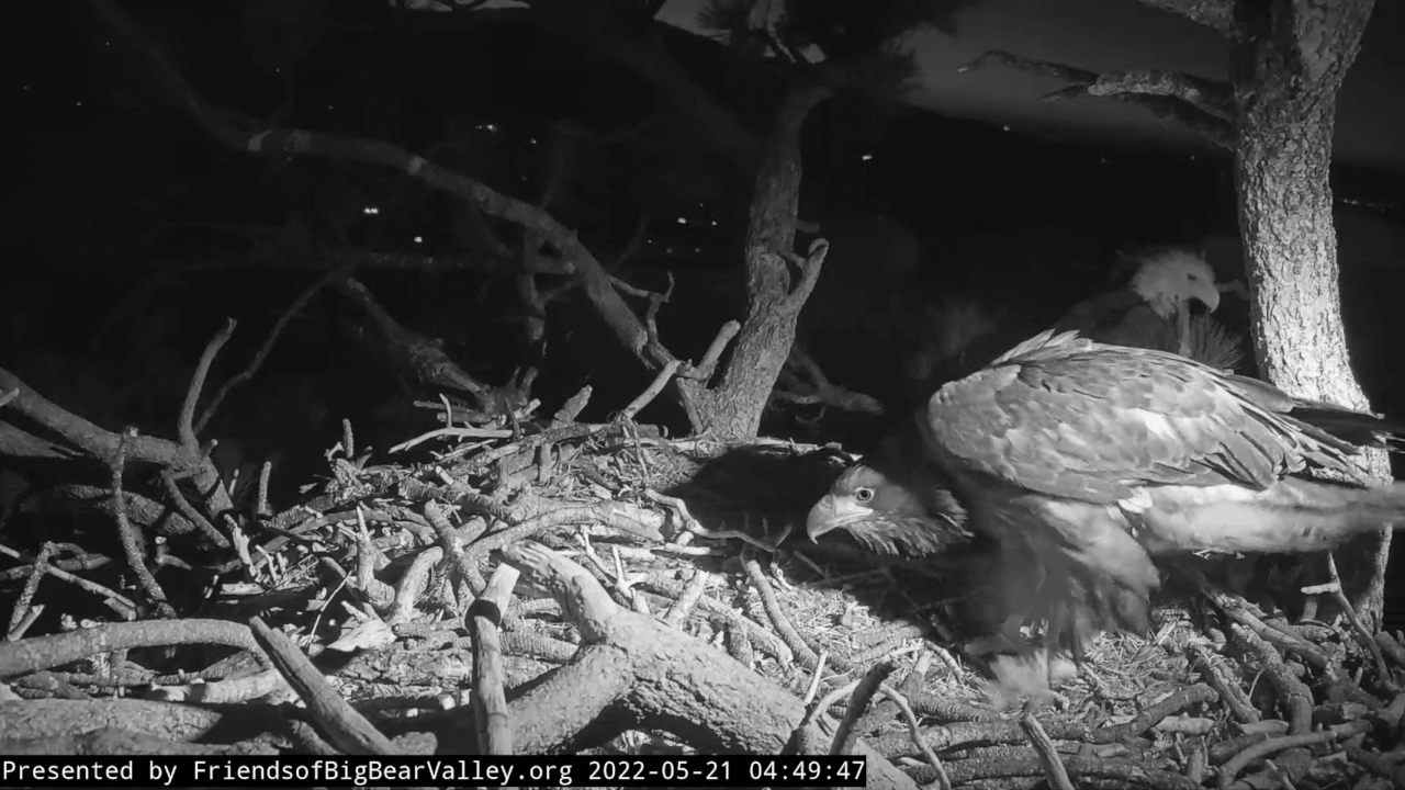 Webp.net-gifmaker (1)