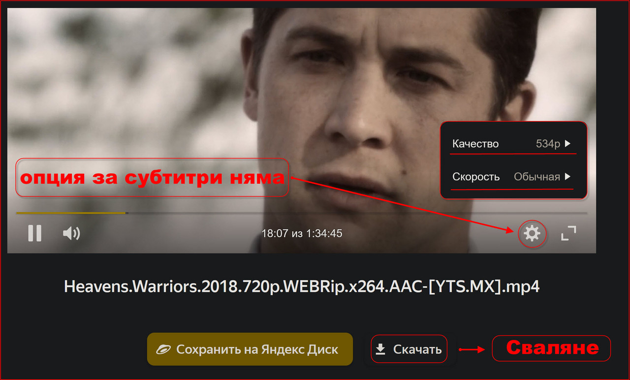 1143365.jpg