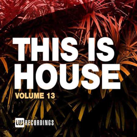 VA   This Is House Vol. 13 (2021)