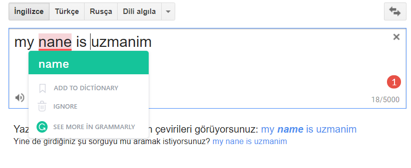 grammarly ne işe yarar