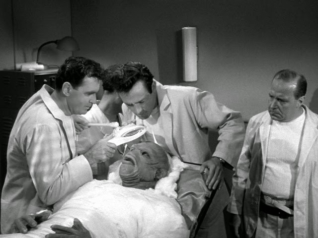 AMONG US REFERENCE (07A)